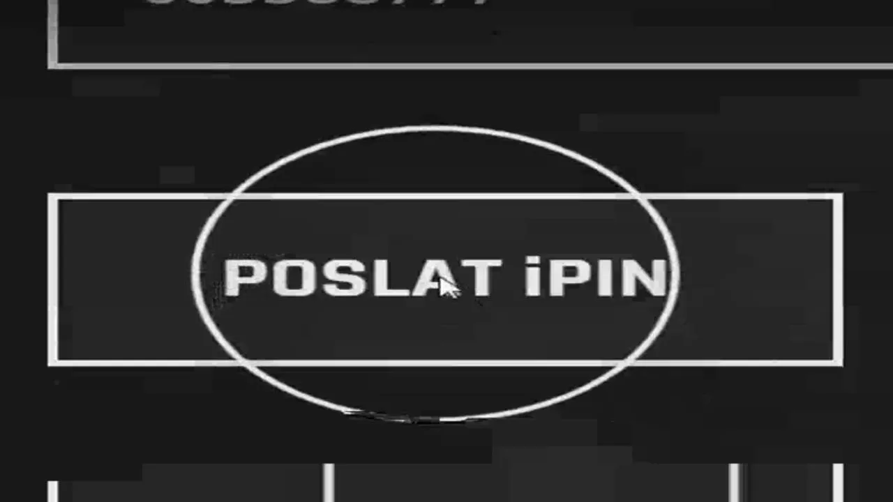 iPIN